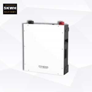 5kWh Dyness Lithium Battery